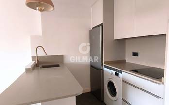 alquiler piso madrid capital chamartin