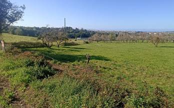 venta finca rustica gijon periferia - castiello de bernu