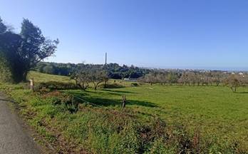 venta terrenos solares gijon periferia - castiello de bernu