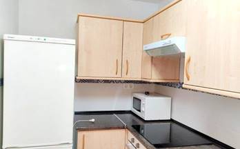 alquiler piso malaga el consul