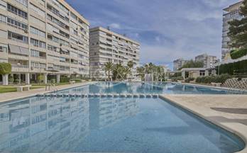 2  pisos y apartamentos en alquiler amueblados alicante