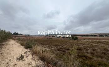 84 terrenos y fincas en venta el palomar