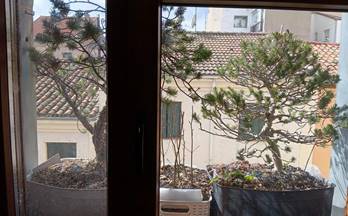 venta piso san lorenzo de el escorial centro