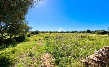 venta terrenos solares santanyi es llombards