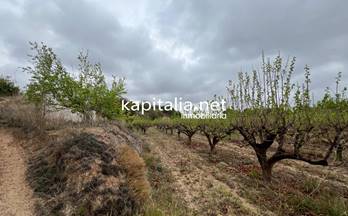 65 terrenos y fincas en venta bocairent