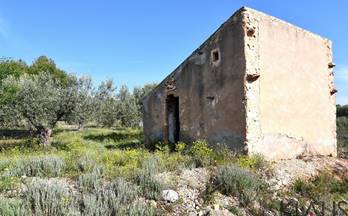 venta finca rustica sant carles de la rapita avda codonyol