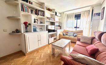 663 pisos en venta madrid provincia