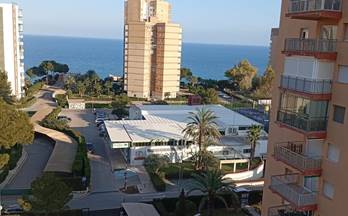 983 pisos en venta torrevieja