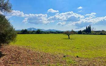 venta terrenos solares porreres porreres