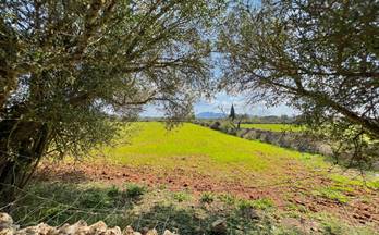 terrenos solares en venta porreres
