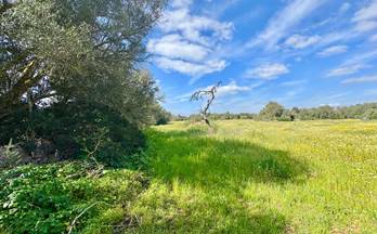 venta terrenos solares campos campos