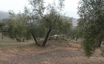 venta terrenos solares peligros vega de granada zona noroeste