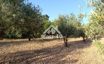 venta casa de campo ibi ibi