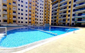 25 pisos en alquiler gandia