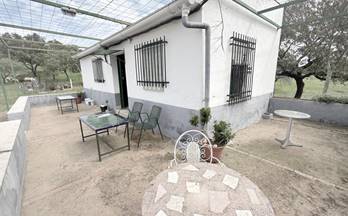 1 terrenos y fincas en venta zalamea la real