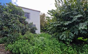 venta finca rustica salobreña camino del canal