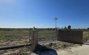 6 terrenos y fincas en alquiler torrellano