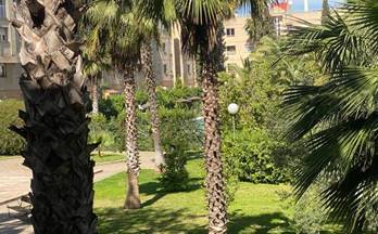 alquiler piso dos hermanas la motilla