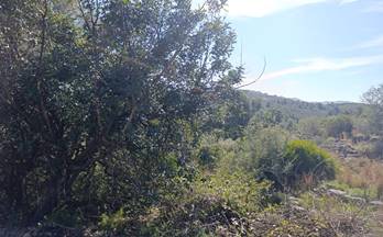 49 terrenos y fincas en venta sagra