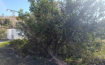 51 terrenos y fincas en venta sagra