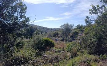 venta terrenos solares el rafol d´almunia monte pego