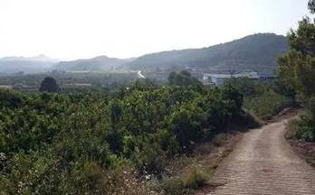 48 terrenos y fincas en venta carcer