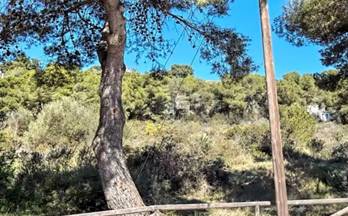 215 terrenos y fincas en venta javea xabia