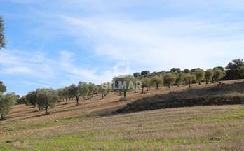 venta finca rustica toledo 