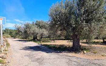51 terrenos y fincas en venta la galera