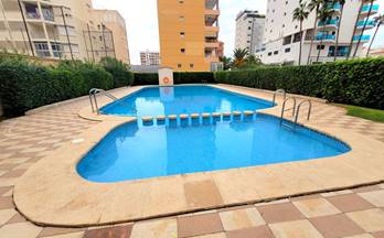 258 pisos en venta alfauir