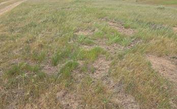 venta terrenos solares zafra zafra