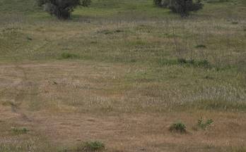 venta terrenos solares zafra zafra
