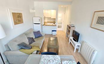 alquiler piso madrid capital centro