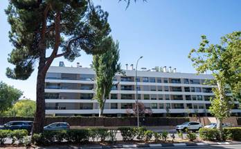 alquiler piso madrid capital ciudad lineal