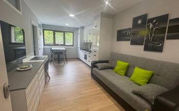 2 apartamentos en alquiler lugo provincia