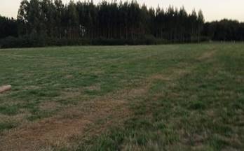 venta terrenos solares lugo pias - ceao