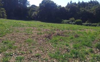 1 terrenos y fincas en venta castro de rei