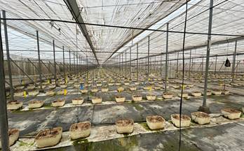 venta nave motril a 5 minutos del centro