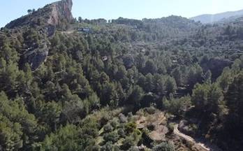 61 terrenos y fincas en venta la vall de laguar