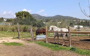 104 terrenos y fincas en venta camarles