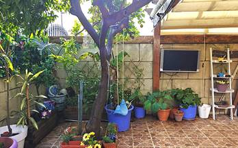chalets con jardin en venta jerez