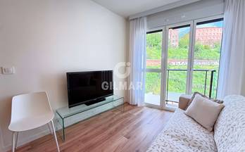 alquiler piso madrid capital centro