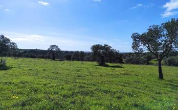venta terrenos solares niebla penuela