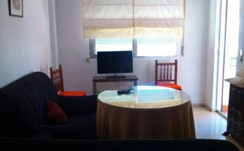 alquiler piso granada triunfo jardin