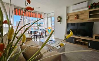 381 apartamentos en venta benidorm