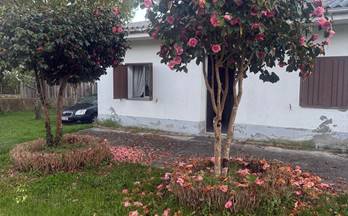 venta casa unifamiliar friol friol