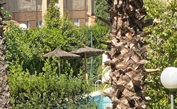 8 estudios en alquiler sevilla provincia