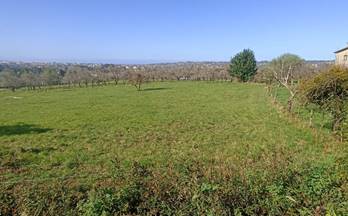 venta terrenos solares gijon periferia - castiello de bernu