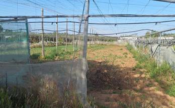 venta casa de campo resto provincia don rodrigo