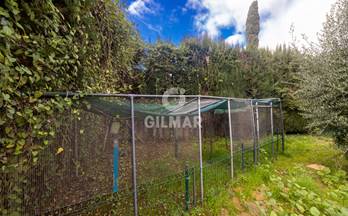 1 locales en alquiler marbella